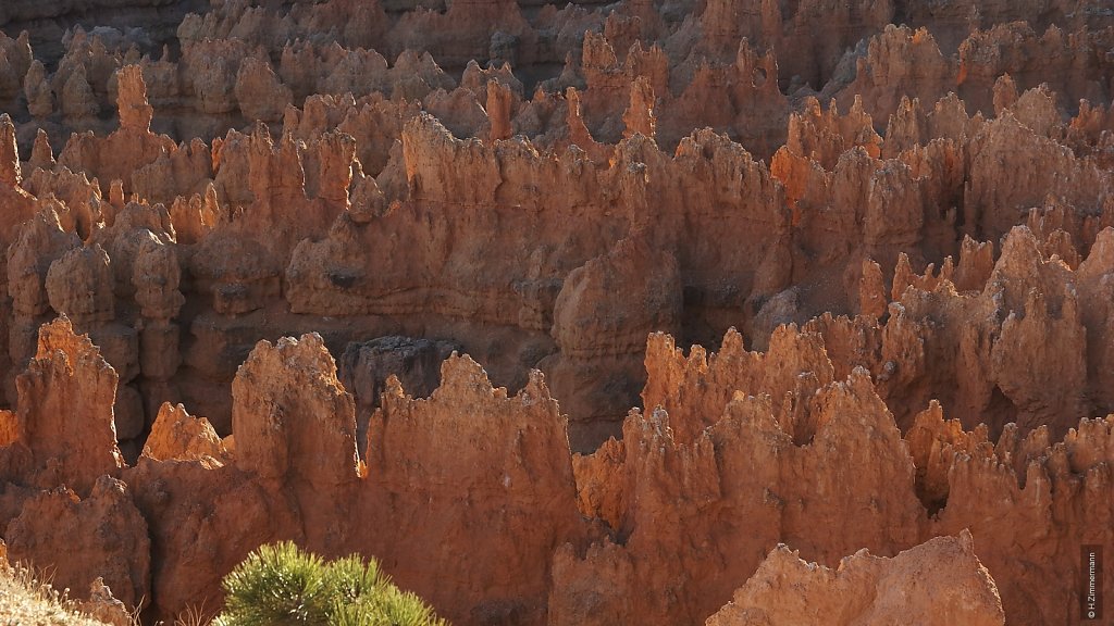 Bryce Canyon