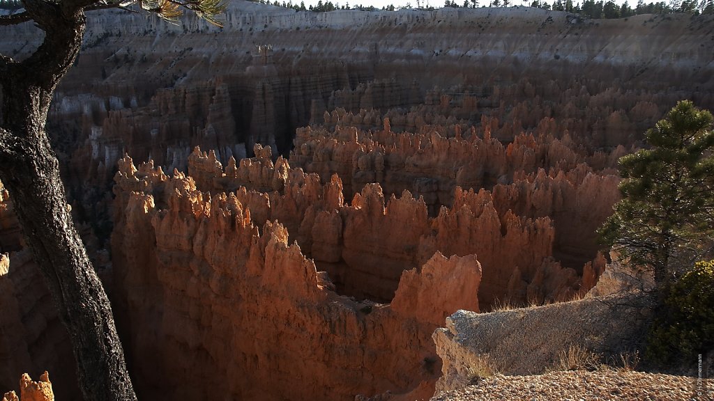 Bryce Canyon