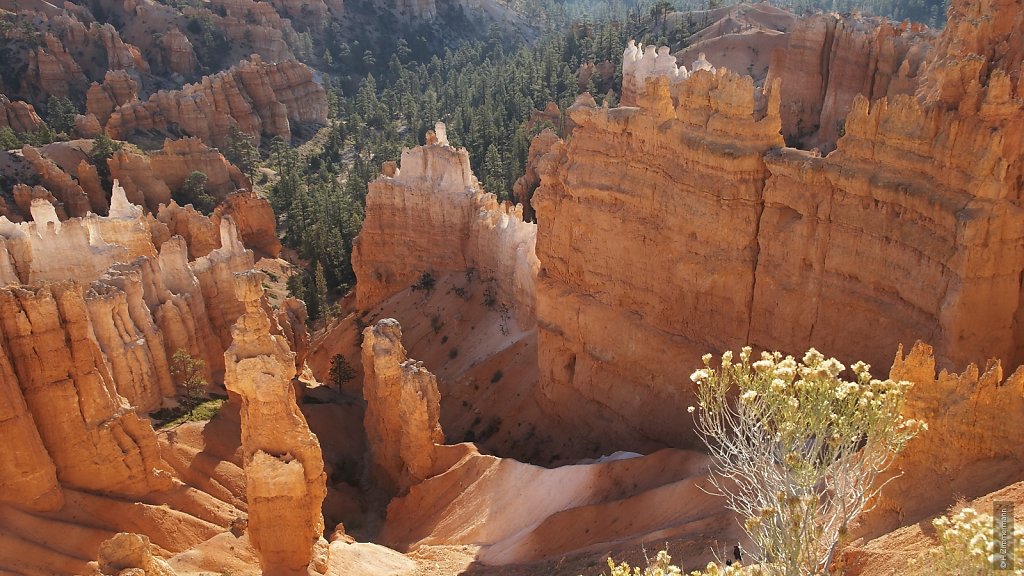 Bryce Canyon