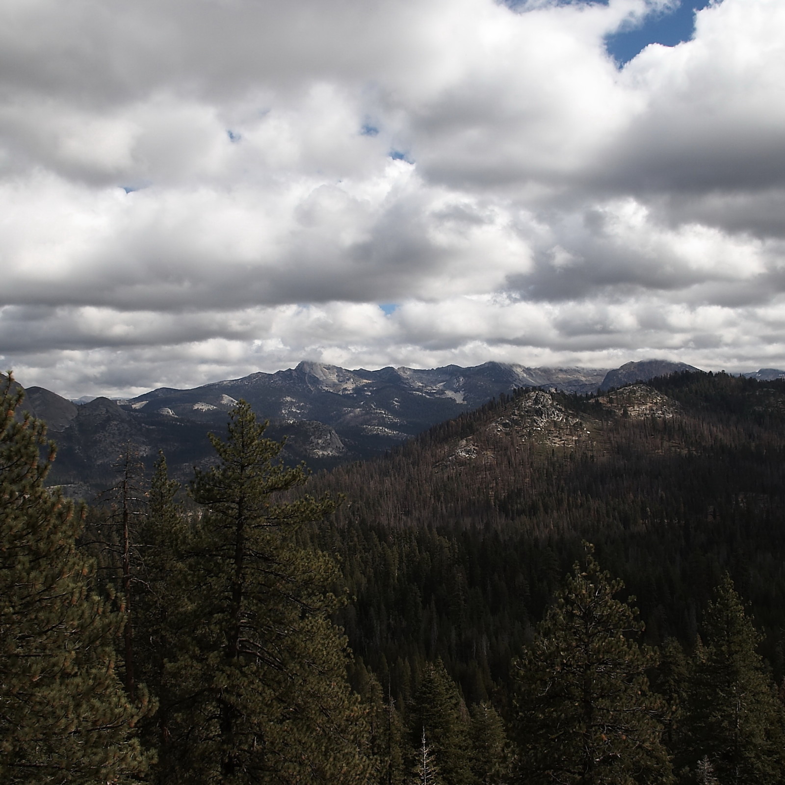 Yosemite National Park