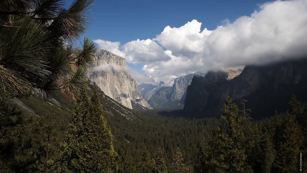 Yosemite National Park