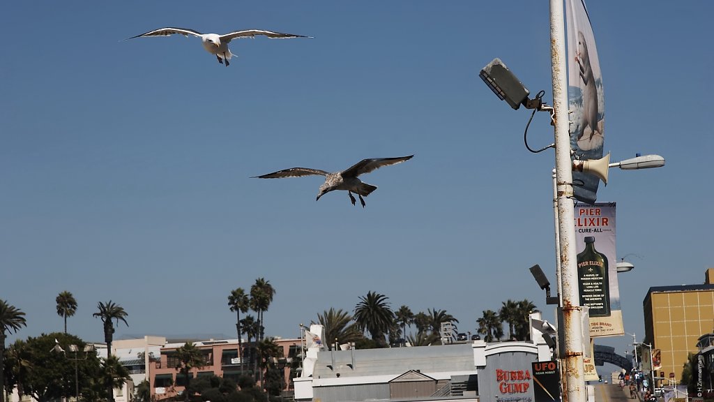 Los Angeles