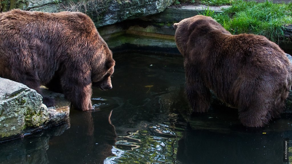 Kölner Zoo