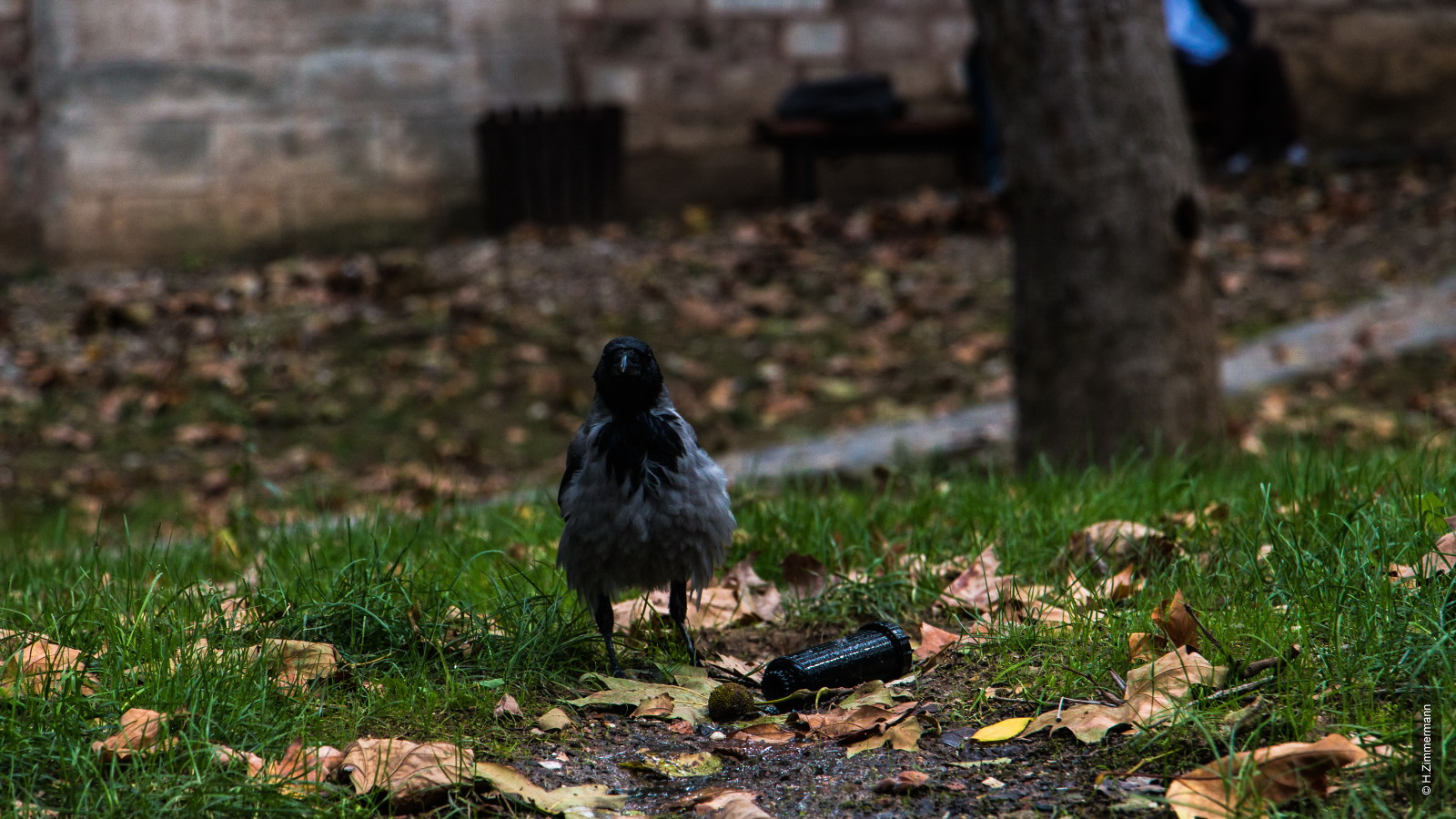 Istanbul - Gülhane Park