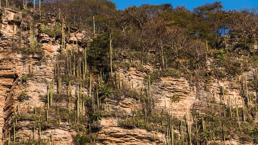 Mexico 2014, Sumidero Canyon