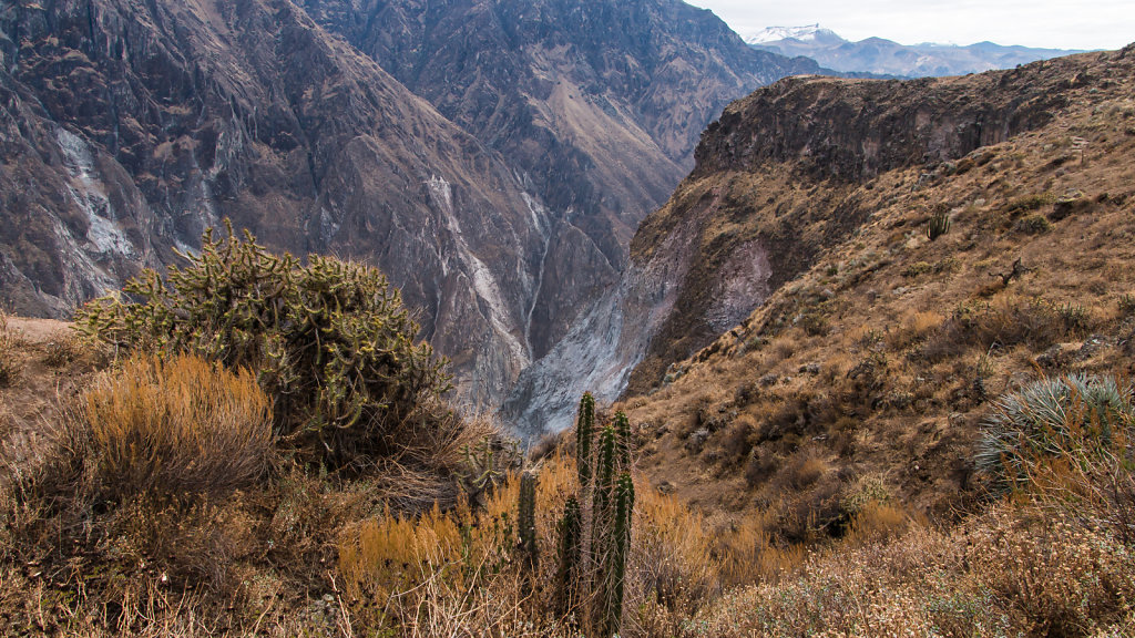 Colca Canyon, Peru, 2015