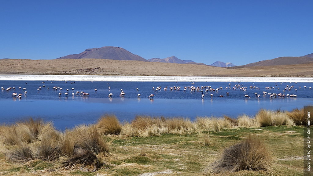 Bolivien - Laguna Canapa