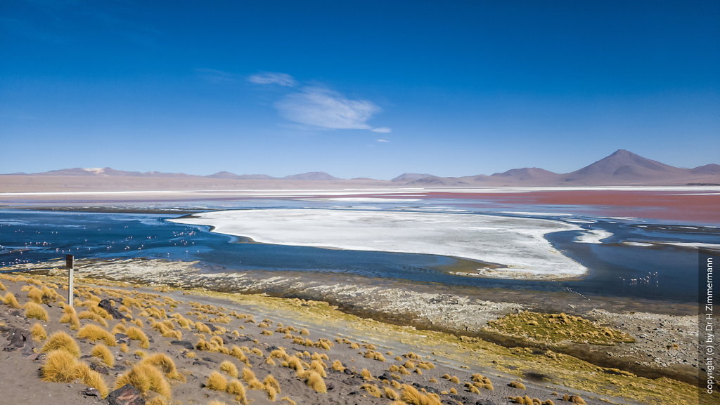 Bolivien - Laguna Colorada