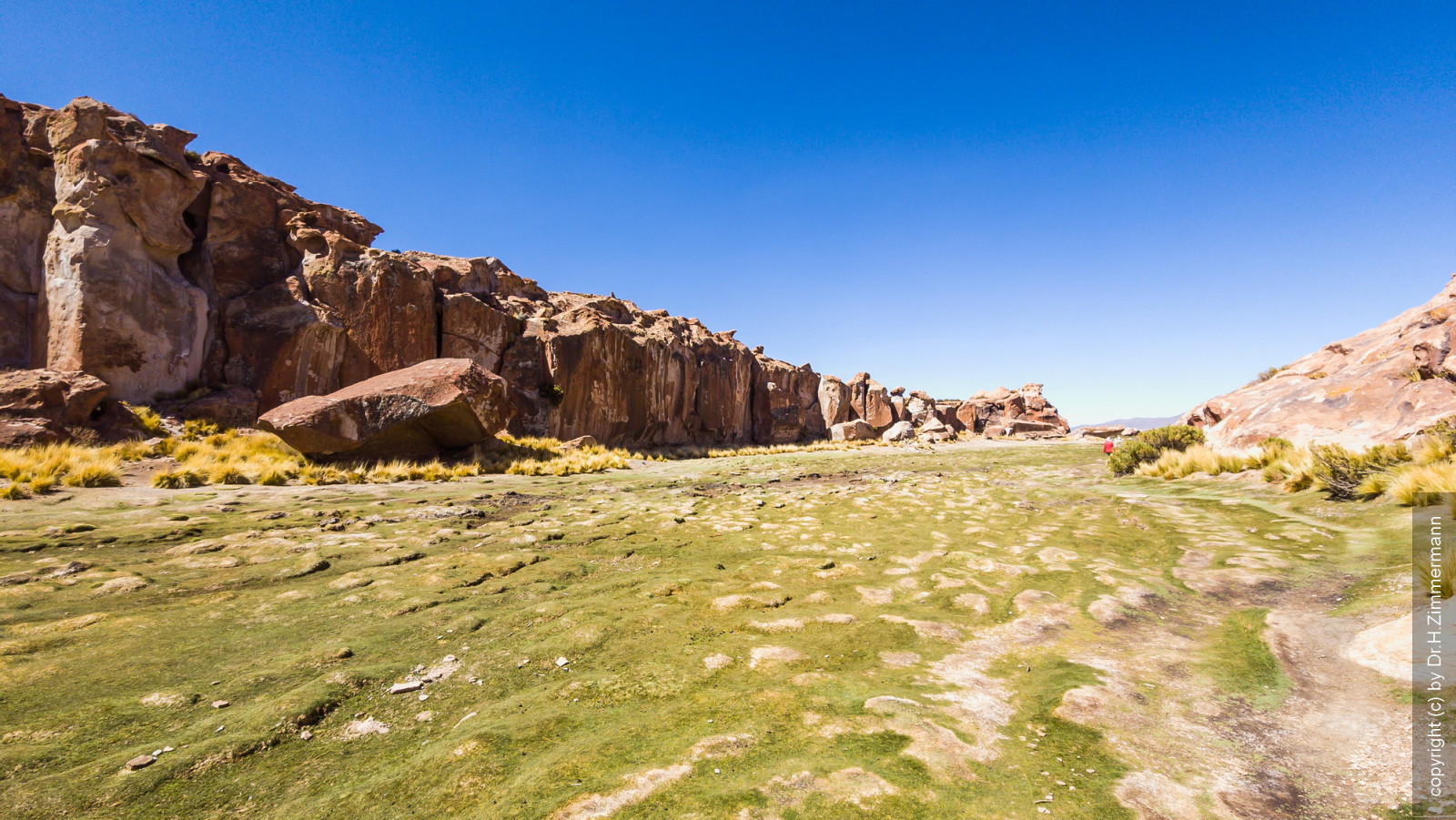 Bolivien - Laguna Negra