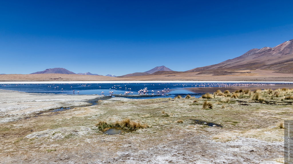 Bolivien - Laguna Canapa