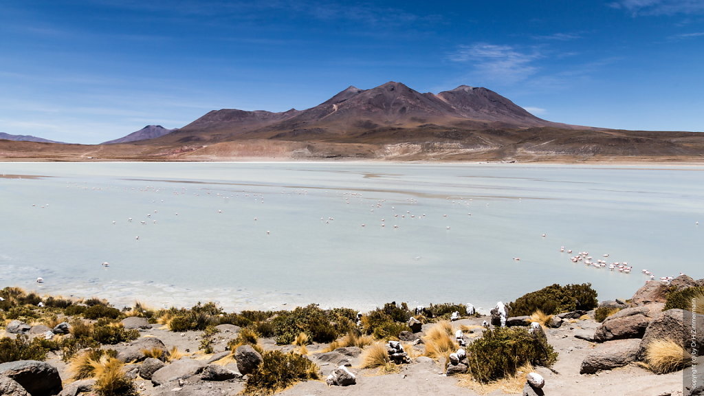 Bolivien - Laguna Ramaditas