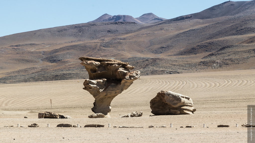 Bolivien - Salvador Dali Wüste, Arbol de Piedra