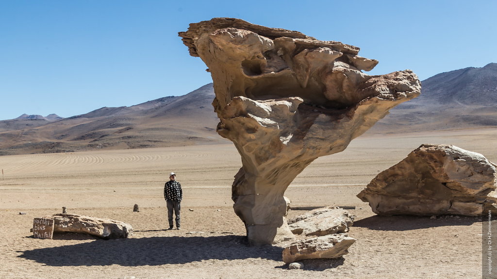 Bolivien - Salvador Dali Wüste, Arbol de Piedra