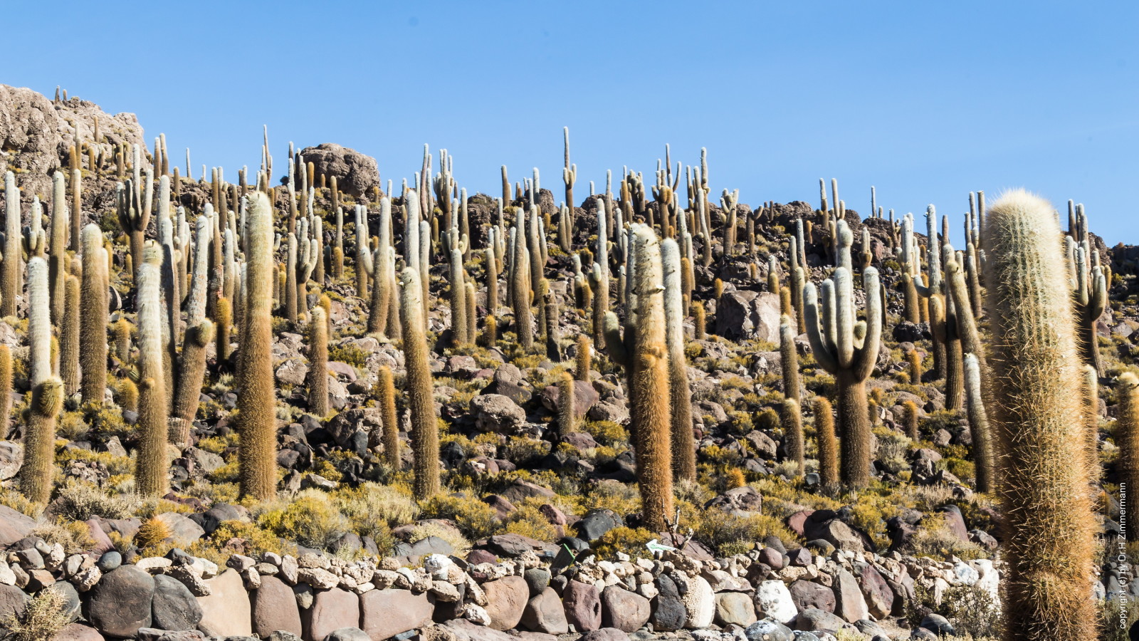 Bolivien - Salar de Uyuni