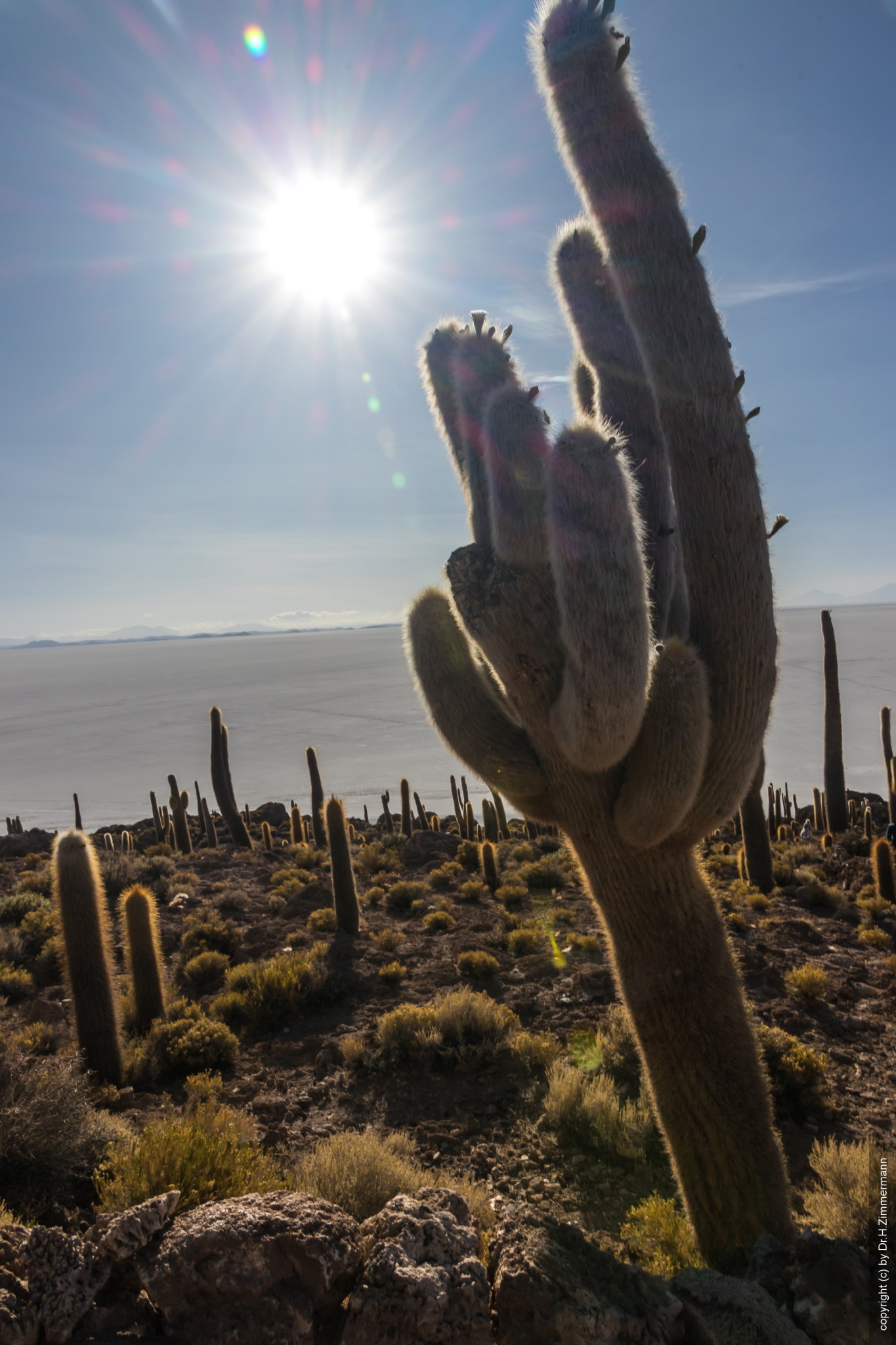 Bolivien - Salar de Uyuni