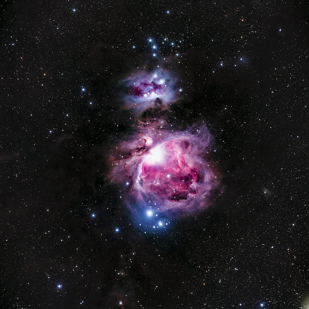 M42 - Orion Nebula Region