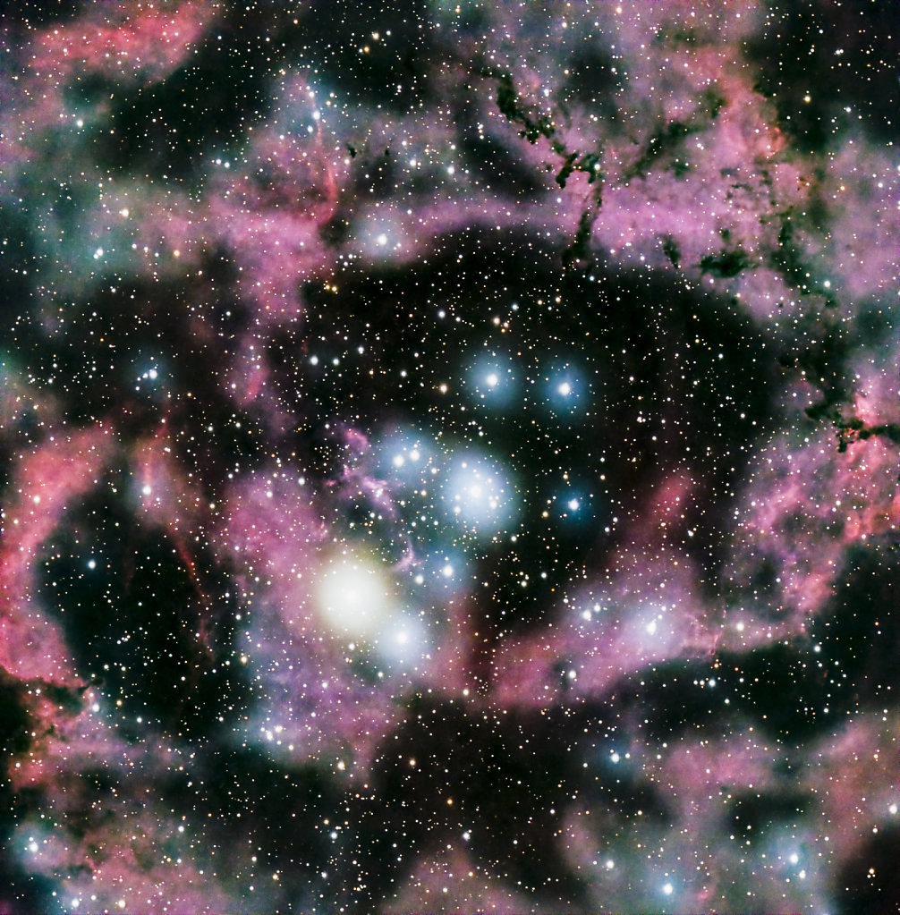 NGC2244 - Open Cluster in Rosette Nebula