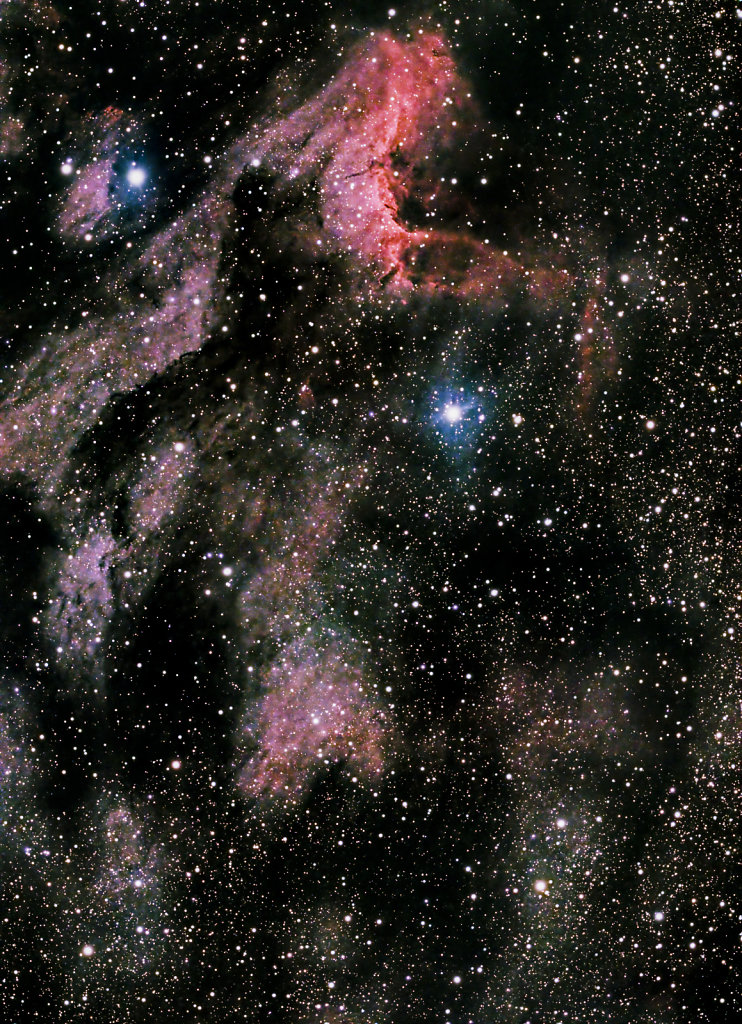 IC5070 Pelican Nebula